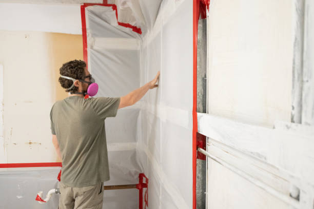 Best Mold Damage Restoration  in Ramseur, NC