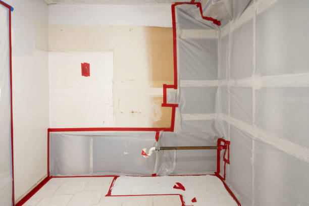 Best Commercial Mold Inspection  in Ramseur, NC