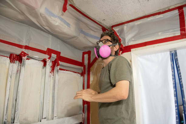Best Industrial Mold Remediation  in Ramseur, NC